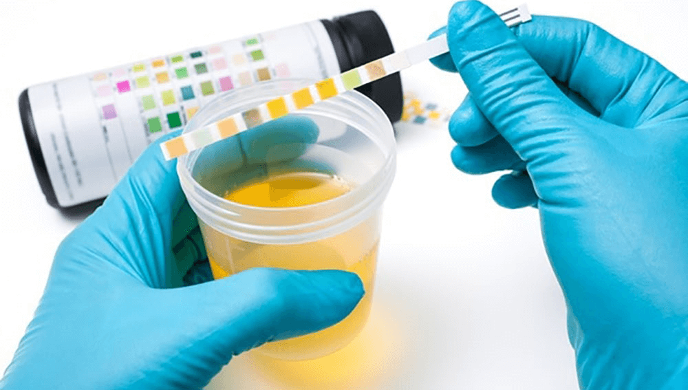 Best Synthetic Urine