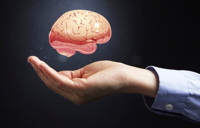 Increase your Brain Function